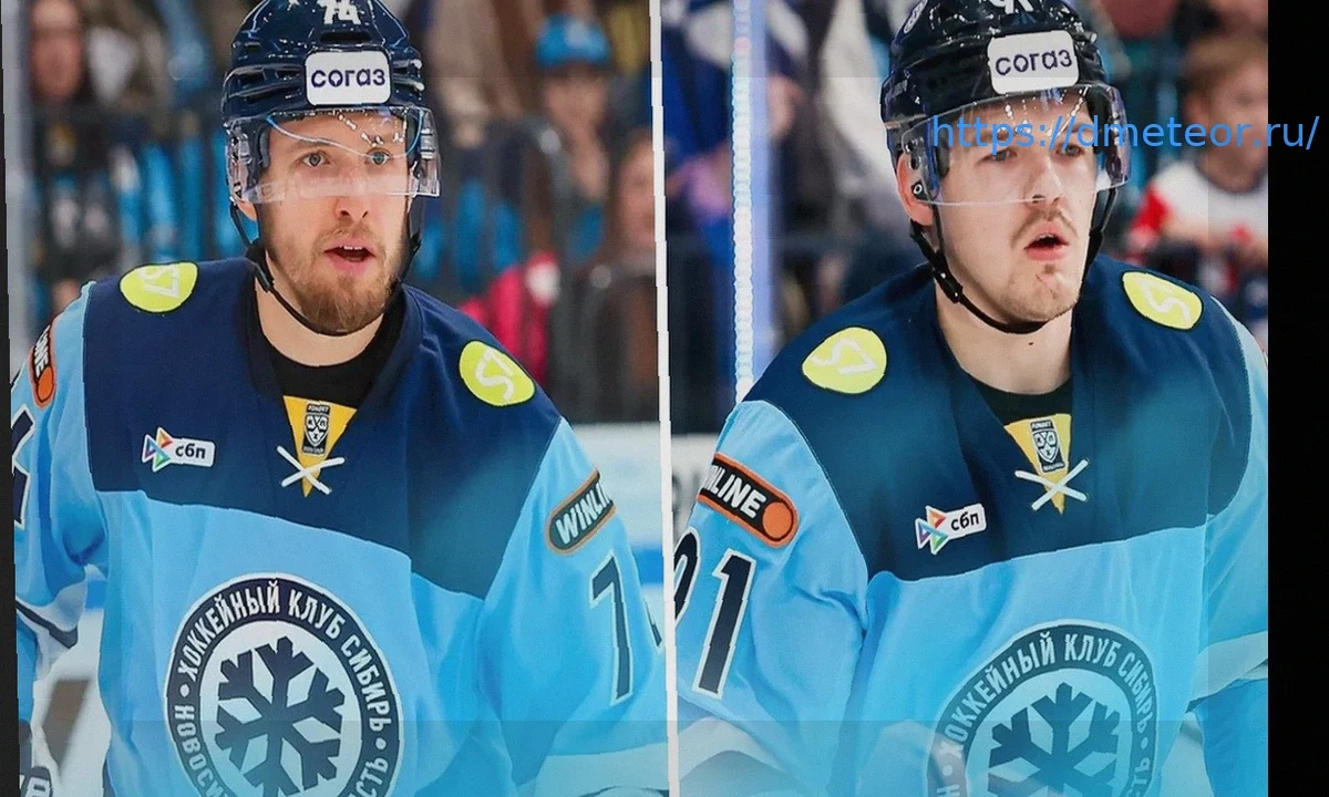 «Сибирь» продлила контракты с защитниками Валитовым и Орловым на год