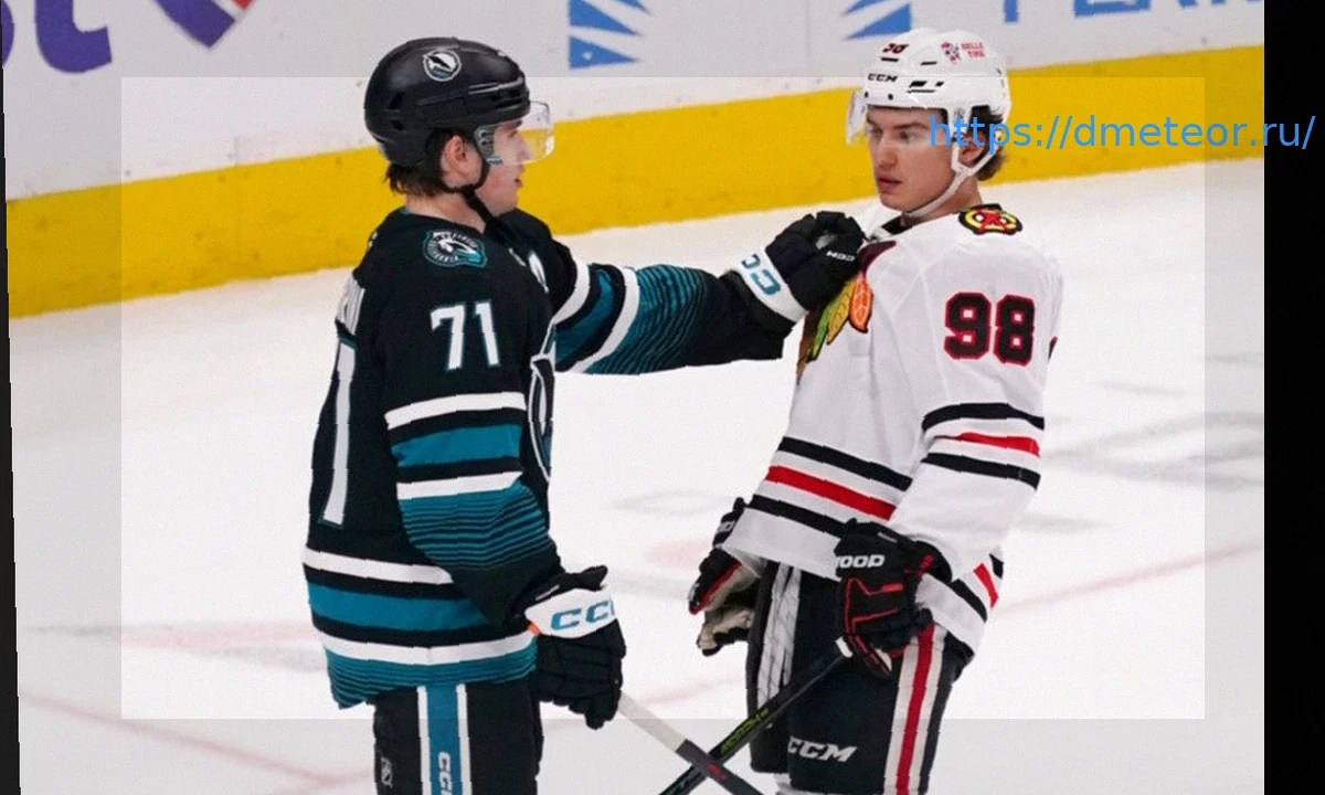 Слухи НХЛ: Коннор Бедард, Маклин Селебрини и Каттер Готье